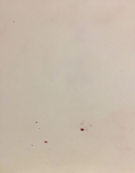 Jenni-Eskola_Pioni_web3.jpg