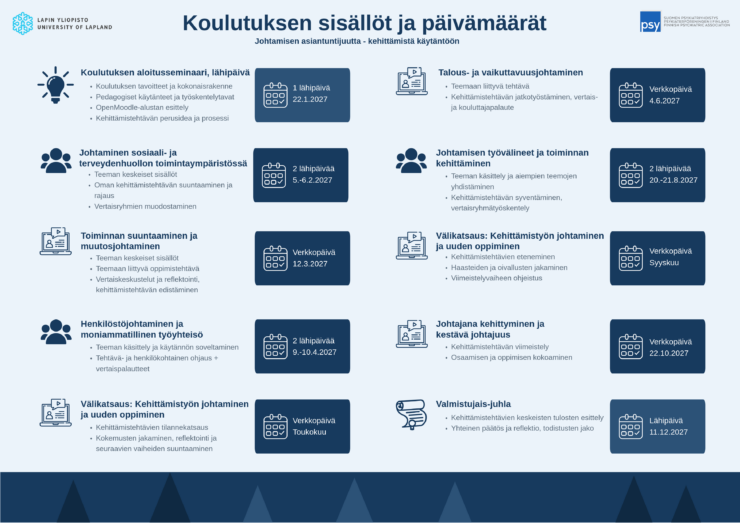 Mielenterveystyön johtaminen koulutus, sisältökuva