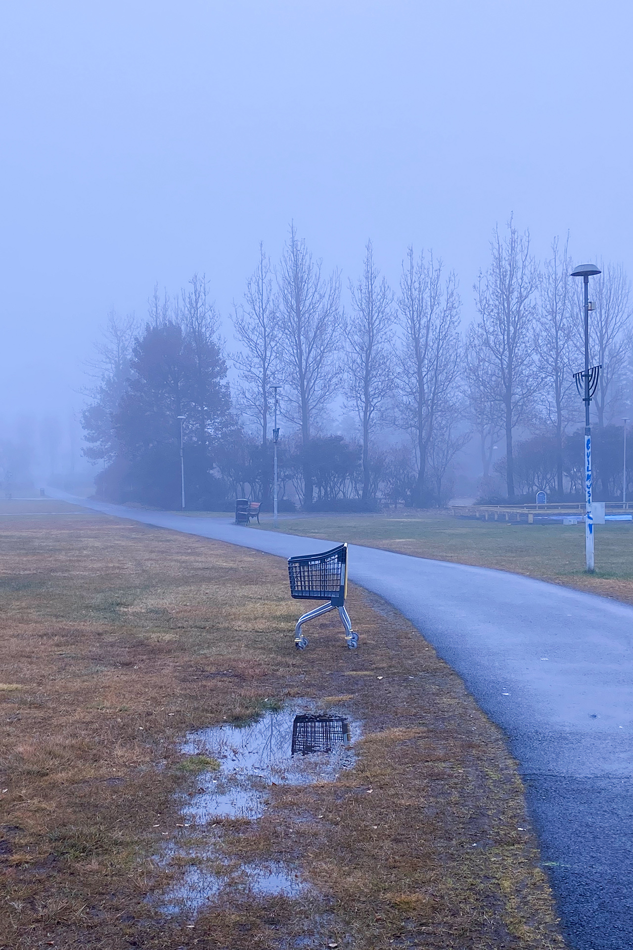 Ostoskärryt tien vieressä.